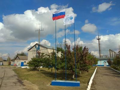 Шацкий район электрических сетей филиала «Рязаньэнерго» отметил юбилей