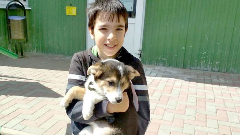 В Новомичуринске прошла благотворительная ярмарка в поддержку приюта для животных