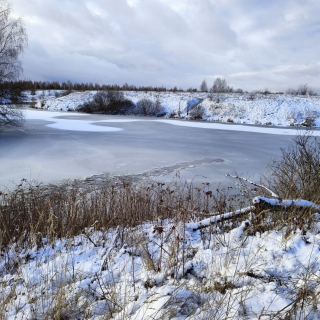 Шестилетний ребёнок утонул в пруду в Рязанской области