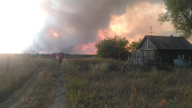 Дым от горящего заповедника в Мордовии дошёл до Рязанской области