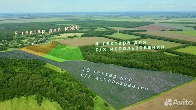 На территории «Есенинской Руси» под Рязанью намерены строить туристический кластер