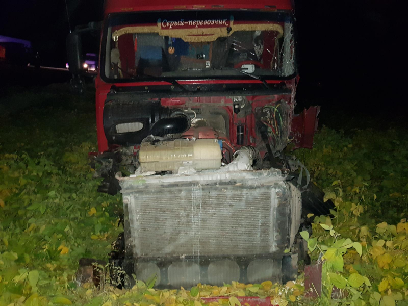Под Михайловом погиб водитель легковушки, влетевшей в грузовик