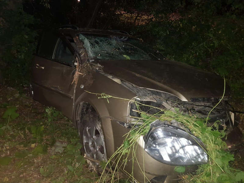 В Михайловском районе погибла пассажирка мопеда, столкнувшегося с иномаркой
