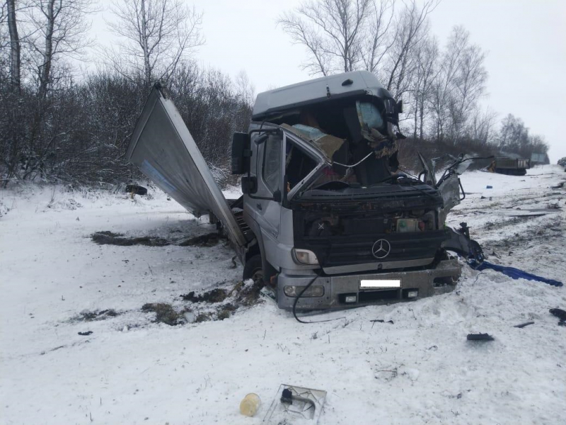 В Путятинском районе столкнулись два грузовика, водителей госпитализировали