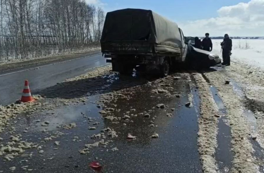 Под Ряжском погиб водитель легковушки, столкнувшийся с грузовиком
