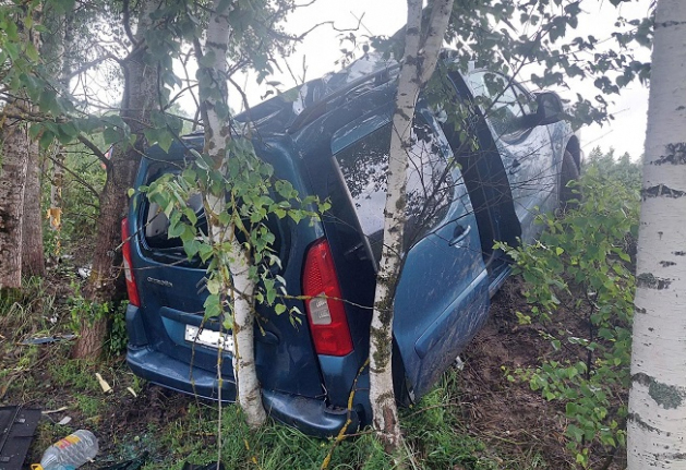 Появились подробности смертельной аварии в Клепиковском районе