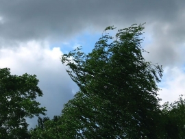 В Рязанской области ожидают грозу с порывистым ветром