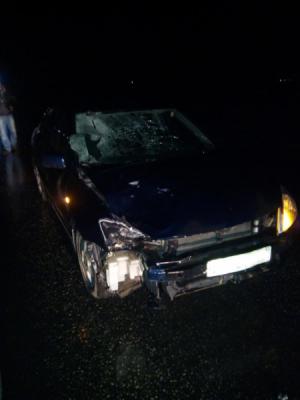Mitsubishi Lancer ночью насмерть сбил пешехода у села Шумашь