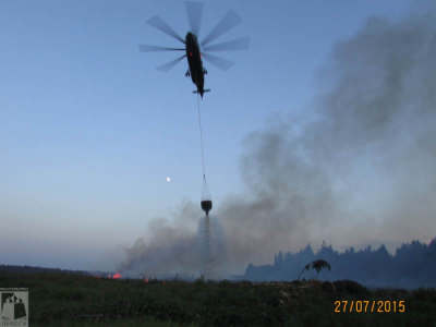 Лесной пожар в Рязанском районе тушили с вертолёта