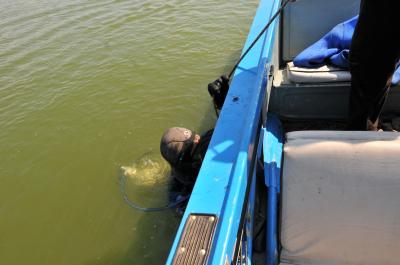 Из пруда в Рязанском районе подняли тело утонувшего