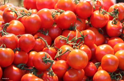 В Рязани уничтожили партию турецких томатов