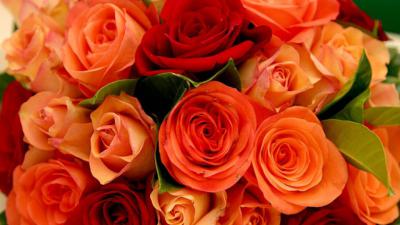 Пьяный налётчик избил продавщицу и украл букет роз в цветочном магазине