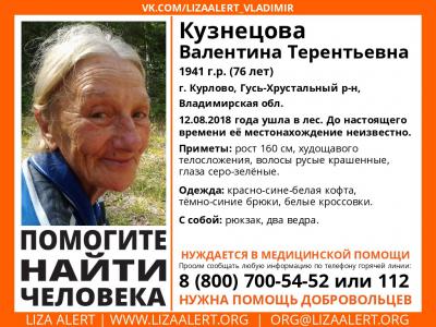 Рязанцев просят помочь отыскать жительницу Владимирской области