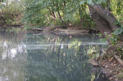 Рязанские активисты ОНФ считают несоразмерным наказание за загрязнение реки Кердь