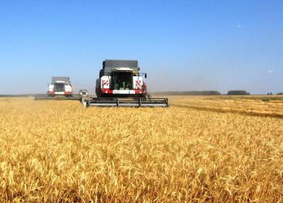 Олег Ковалёв поздравил земледельцев региона с намолотом 500 тысяч тонн зерна