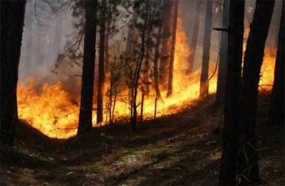 В Рязанской области вновь объявляют пожароопасный сезон