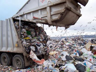 Рязанские власти пока не планируют принимать и перерабатывать столичный мусор