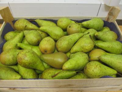 В Рязани раздавили более полутонны санкционных овощей и фруктов