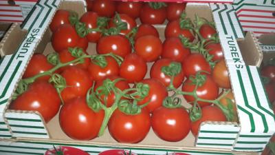 В Рязани уничтожили подкарантинные турецкие кабачки и томаты