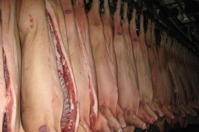 Беларусь временно ограничила ввоз свинины из Рязанской области