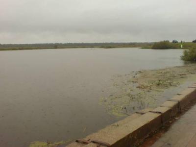 Мост в селе Терехово оказался под угрозой затопления
