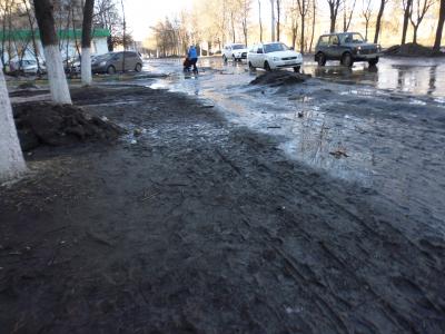 Жители Рязани пожаловались на грязь