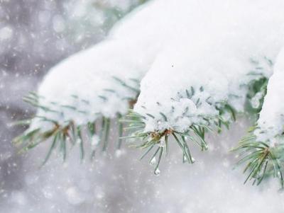 В Рязанском регионе ожидают небольшой снег и гололедицу