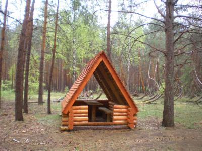В Пьяном шиловском лесу оборудовали место для отдыха