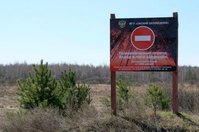 В Рязанской области отменён особый противопожарный режим