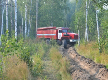 Возле Дубровичей в Рязанском районе зафиксирован лесной пожар