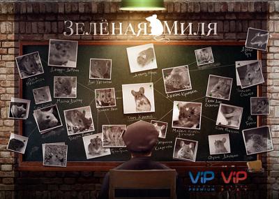 «Дом.ru»: В Рязани пройдёт выставка «Киновселенная Стивена Кинга»