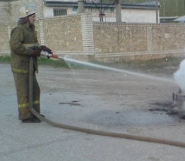 В Ухоловском районе сгорела легковушка