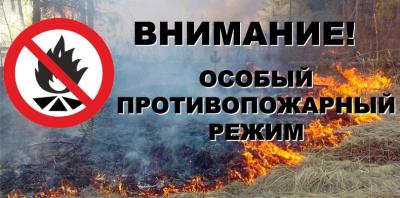 В Рязанской области планируется установить особый противопожарный режим