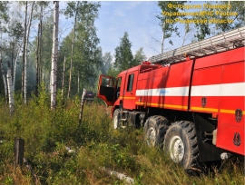 Природный пожар близ Касимова был обусловлен горением сухой травы