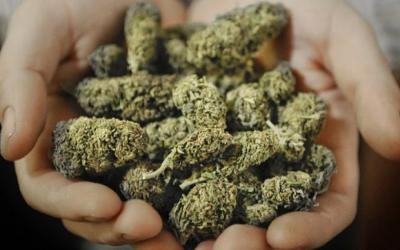В Рязани задержали местного жителя с 400 граммами марихуаны