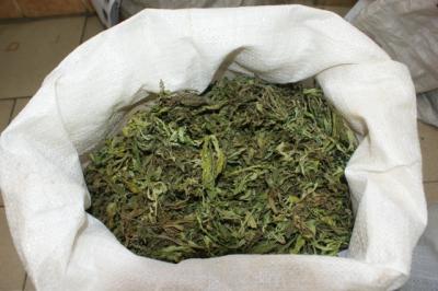 Рязанца поймали с мешком марихуаны