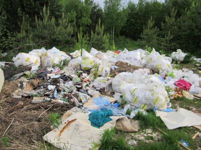 В Спасском районе два села утопают в мусоре