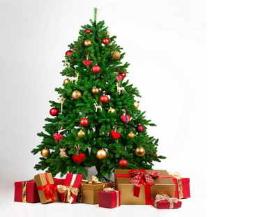 «Канцлер»: Скидки 35% на покупку новогодней ели