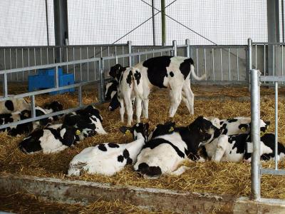 В Рязанском районе заканчивается строительство животноводческого комплекса