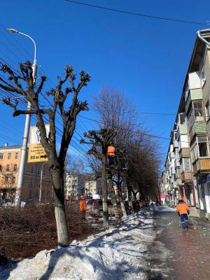 В Рязани снова кронируют деревья 