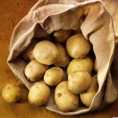 Рязанские земледельцы добились высоких результатов в сборе картофеля