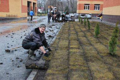 У нового здания Александро-Невской начальной школы расстелили газон