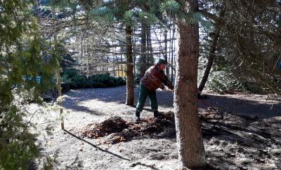 В лесах Спасского района ликвидировали 7 несанкционированных свалок