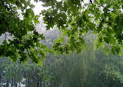На Рязанщину вновь надвигаются ливневые дожди и град