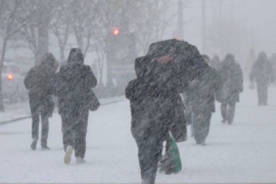 В Рязанском регионе местами ожидаются снег, метель и гололедица