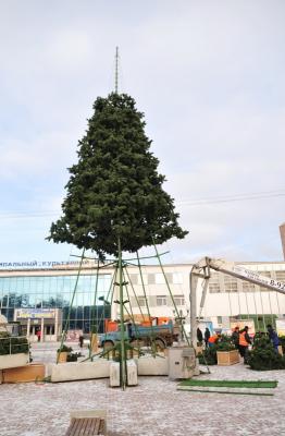 В Рязани начали установку главной новогодней ёлки города
