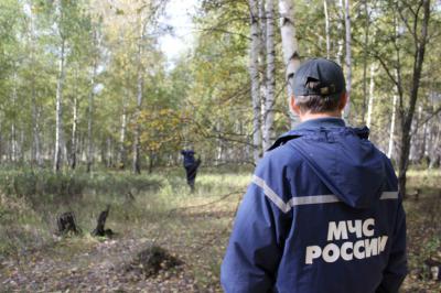 Рязанские спасатели советуют оставаться на месте заблудившимся в лесу