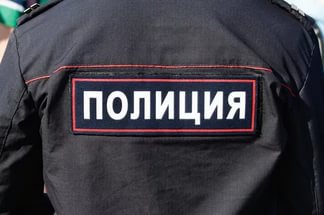 Рязанские полицейские поймали ночных автоворов