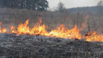 С начала года рязанские огнеборцы уже четыре раза тушили горящую траву