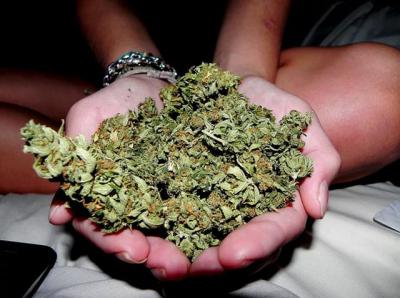 Жителя шиловского села уличили в хранении 700 граммов марихуаны